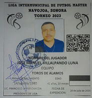Foto de JOSE MANUEL VILLALPANDO LUNA