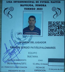 Foto de RAMON SERGIO PATIÑO PALOMARES