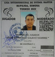 Foto de DIEGO RAYMUNDO GALAVIZ RAMIREZ